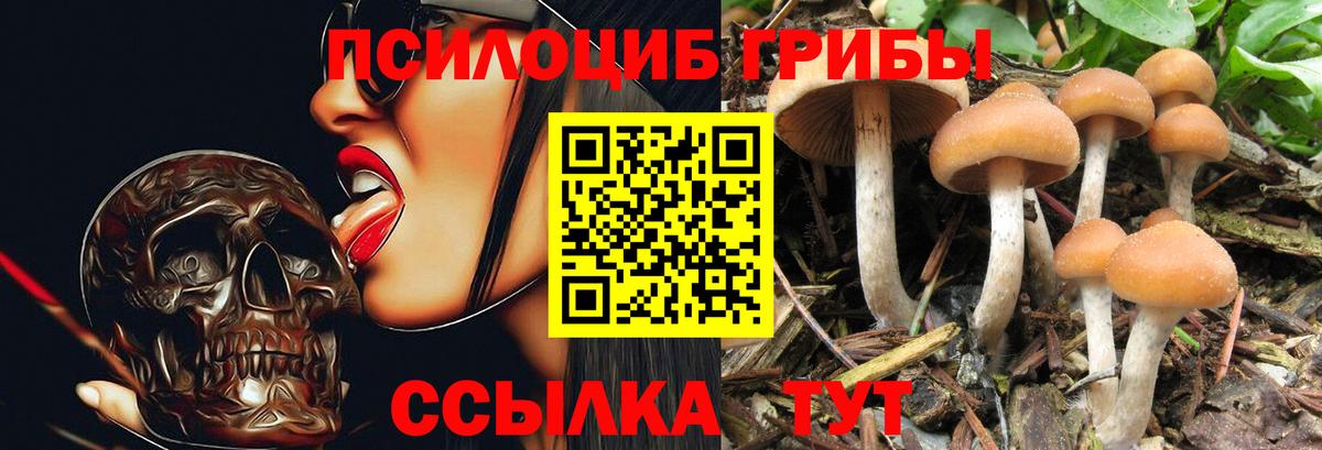 Галлюциногенные грибы ЛСД Сатка