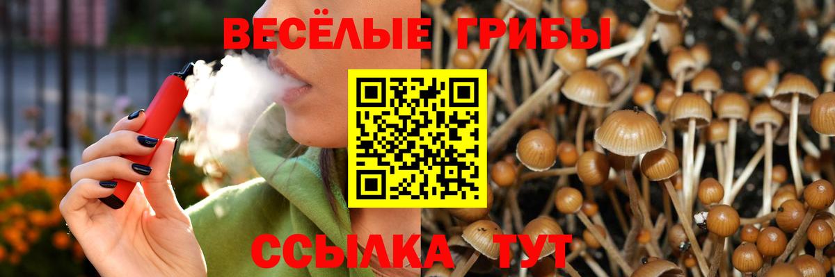 Сатка  Галлюциногенные грибы Psilocybine cubensis  Вход с VPN  Галлюциногенные грибы мухоморы 